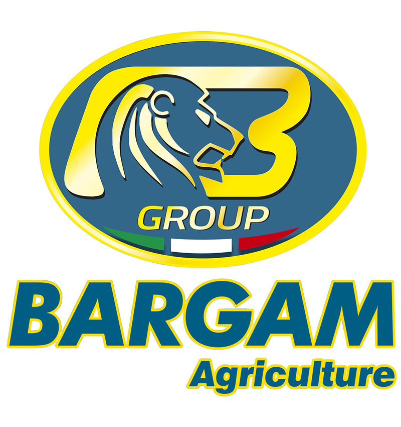 bargam-2-PhotoRoom.png-PhotoRoom